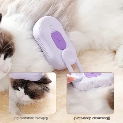 Brosse de toilettage à vapeur pour chat