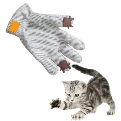 Brosse à poils d'animaux, brosse de bain et massage