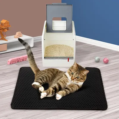 Tapis de litière pour chat filtrant à double couche