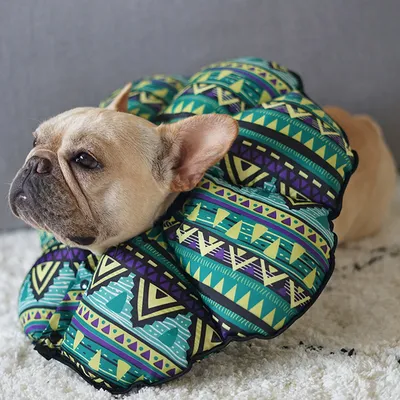 Collier de protection pour chien en forme de cône, vert