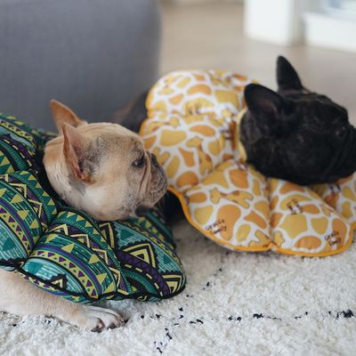 Collier de protection pour chien en forme de cône, vert