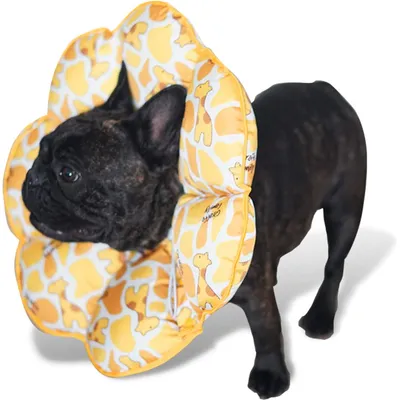 Collier de protection pour chien en forme de cône, jaune