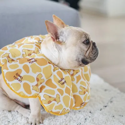 Collier de protection pour chien en forme de cône, jaune