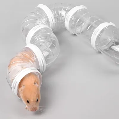 Système de tunnel pour hamster