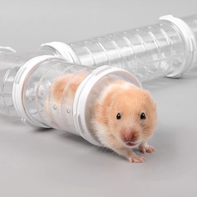 Système de tunnel pour hamster