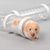 Système de tunnel pour hamster