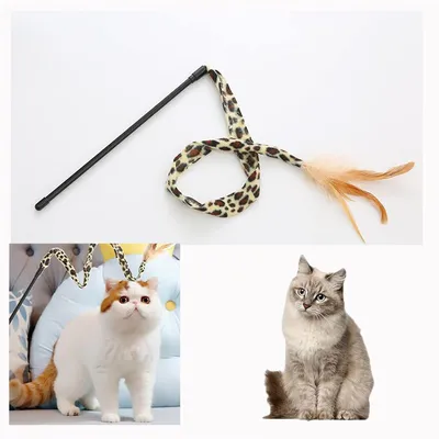 Jouets en plumes pour chat, Bâton de chat drôle