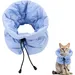 Collier de récupération réglable pour chats