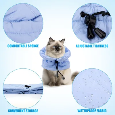 Collier de récupération réglable pour chats