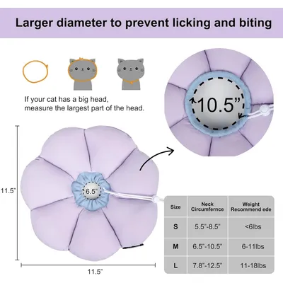 Collier conique pour chat, fleur violette