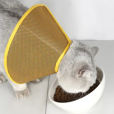 Cône de récupération réglable pour animaux