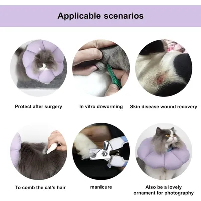 Collier conique pour chat, fleur violette