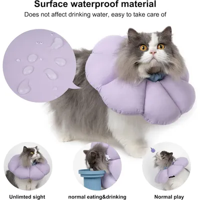 Collier conique pour chat, fleur violette