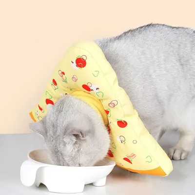 Collier de récupération imperméable pour chats Collier de récupération imperméable pour chats