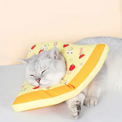 Collier de récupération imperméable pour chats Collier de récupération imperméable pour chats