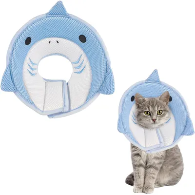 Collier conique pour chat, requin bleu