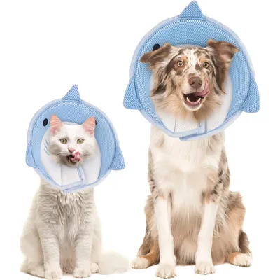 Collier conique pour chat, requin bleu