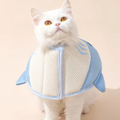 Collier conique pour chat, requin bleu
