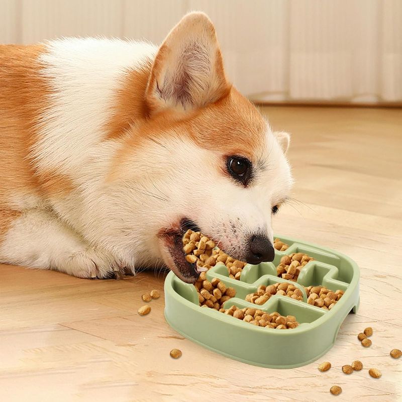 Gamelle pour chien à alimentation lente, gamelle puzzle