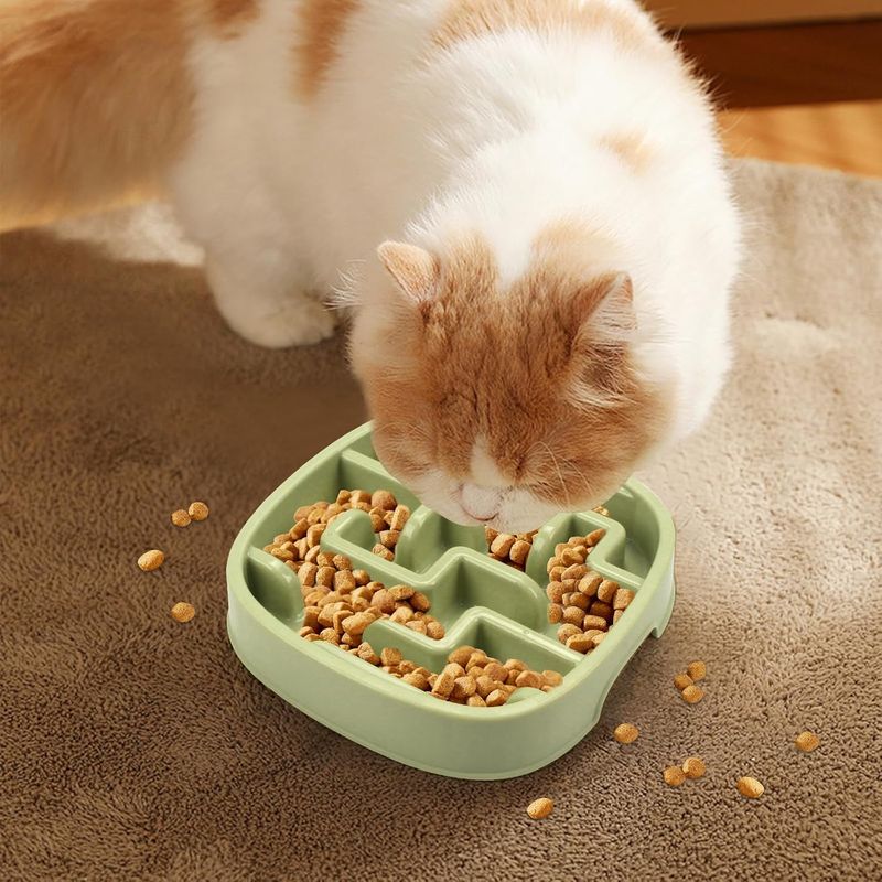 Gamelle pour chien à alimentation lente, gamelle puzzle