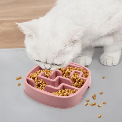 Gamelle pour chien à alimentation lente, gamelle puzzle Gamelle pour chien à alimentation lente, gamelle puzzle