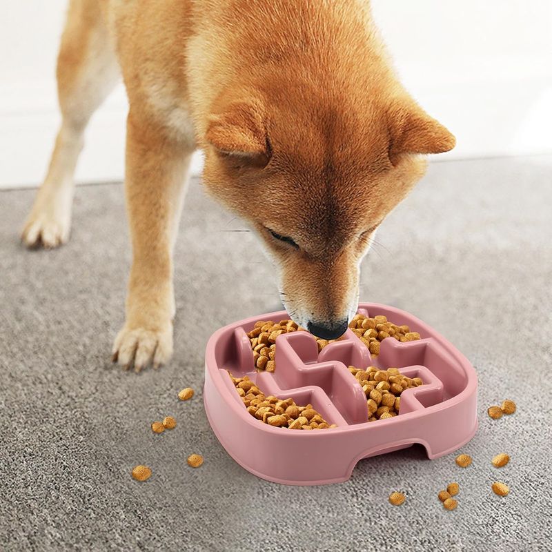 Gamelle pour chien à alimentation lente, gamelle puzzle