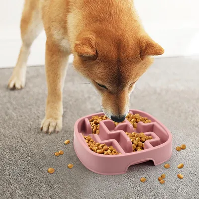 Gamelle pour chien à alimentation lente, gamelle puzzle Gamelle pour chien à alimentation lente, gamelle puzzle