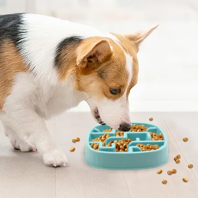 Gamelle pour chien à alimentation lente, gamelle puzzle Gamelle pour chien à alimentation lente, gamelle puzzle