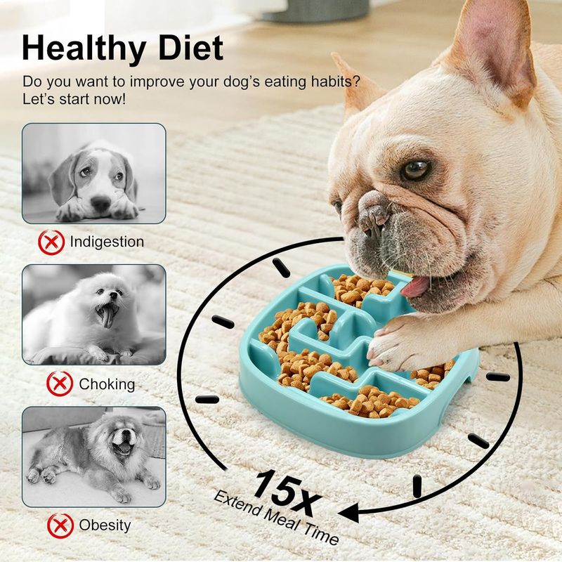 Gamelle pour chien à alimentation lente, gamelle puzzle