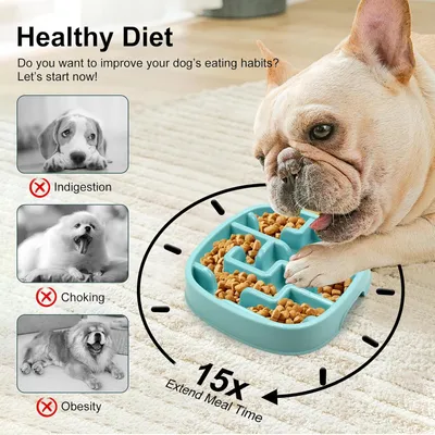 Gamelle pour chien à alimentation lente, gamelle puzzle Gamelle pour chien à alimentation lente, gamelle puzzle