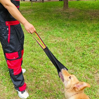 Chiffon de morsure en cuir pour le dressage des chiens