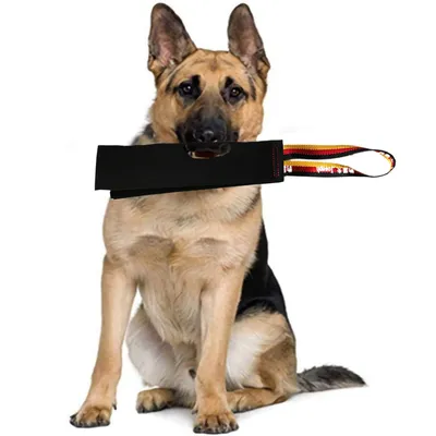 Chiffon de morsure en cuir pour le dressage des chiens