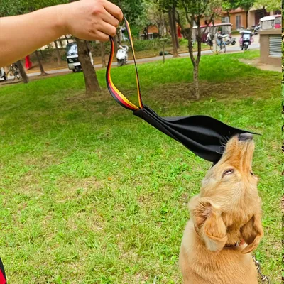 Chiffon de morsure en cuir pour le dressage des chiens