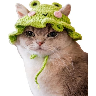 Bonnet tricoté en forme de grenouille pour animaux