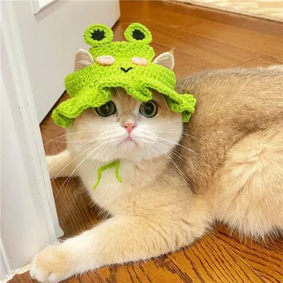 Bonnet tricoté en forme de grenouille pour animaux