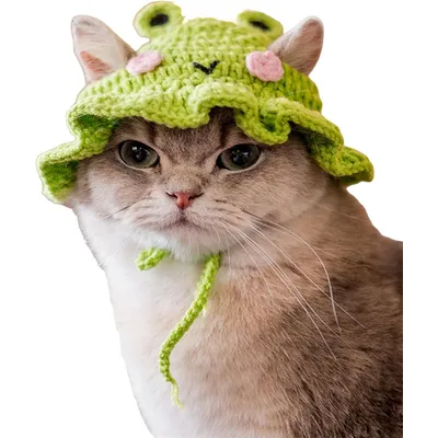 UAMLY Gorro de punto con forma de rana para mascotas