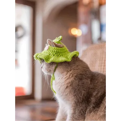 Bonnet tricoté en forme de grenouille pour animaux
