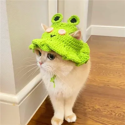 Bonnet tricoté en forme de grenouille pour animaux