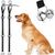Cloches d'apprentissage de la propreté pour chiots