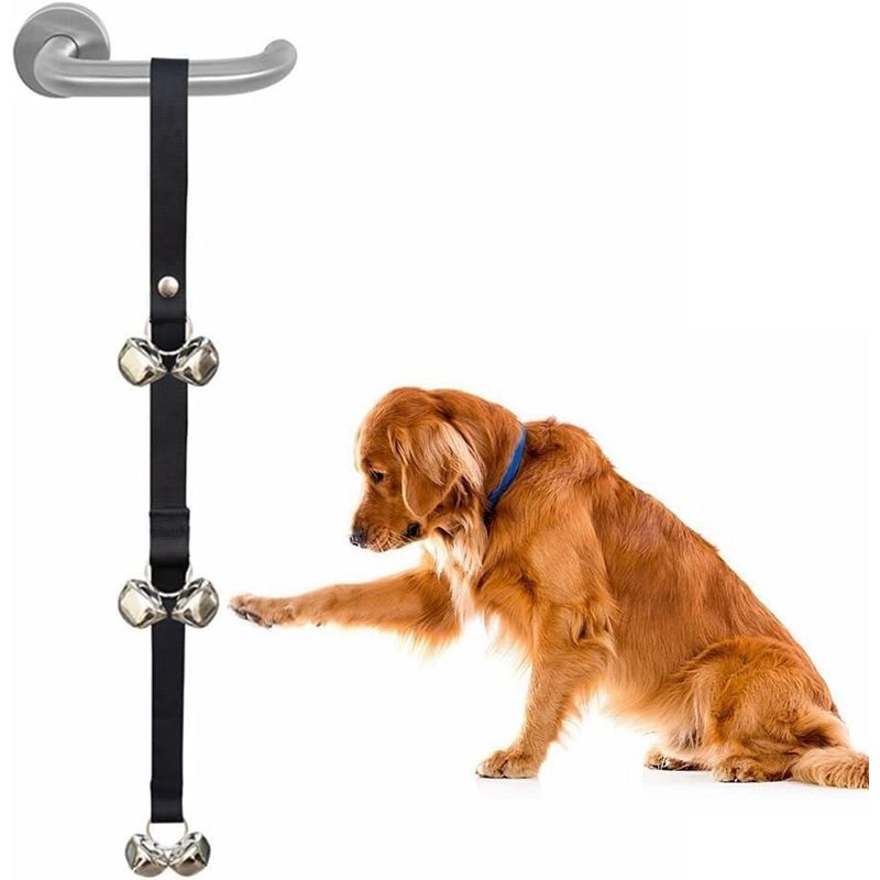 Cloches d'apprentissage de la propreté pour chiots