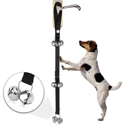 Cloches d'apprentissage de la propreté pour chiots