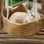 Hamac pour chat, Nid en rotin pour chat