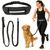 Laisse pour chien mains libres avec pochette zippée et sac banane
