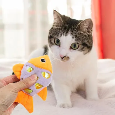 Jouet en peluche en forme de poisson à l'herbe à chat