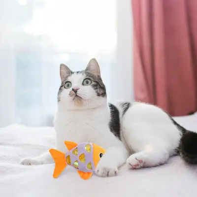 Jouet en peluche en forme de poisson à l'herbe à chat