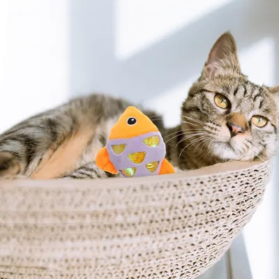 Jouet en peluche en forme de poisson à l'herbe à chat
