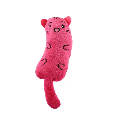 Jouets amusants à l'herbe à chat