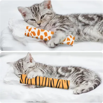 Oreiller à l'herbe à chat, jouets interactifs pour chats