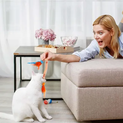 Jouets interactifs pour chats avec plumes