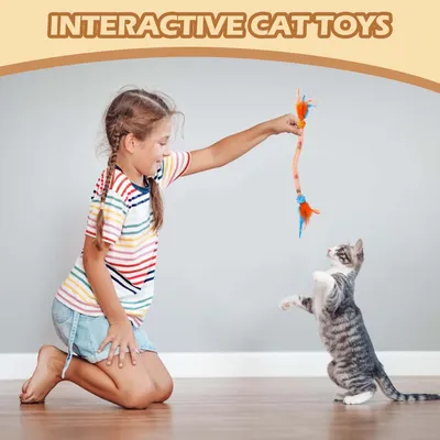Jouets interactifs pour chats avec plumes